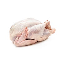 Whole turkey