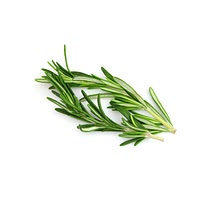 Rosemary leaves