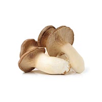 Poplar mushrooms