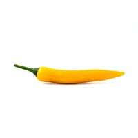 Hot yellow chili