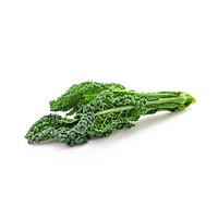 Cavolo nero cabbage