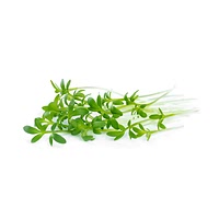 Watercress