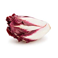 Red chicory