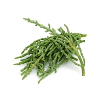 Samphire