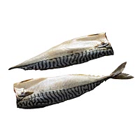 Mackerel fillet