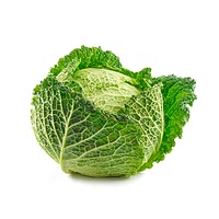 Savoy cabbage