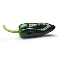 Poblano chilli pepper