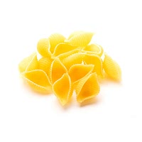 Dried conchiglie pasta