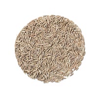 Toasted cumin seeds