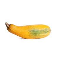 Yellow squash