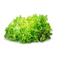 Escarole