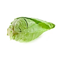 Pointed cabbage leaf (sp)