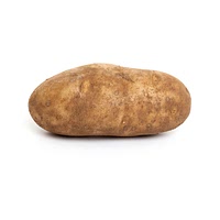 Idaho potato