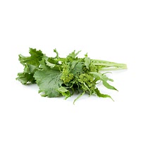 Broccoli rabe