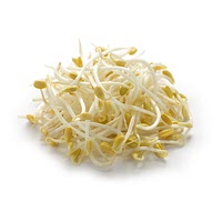 Soy sprouts