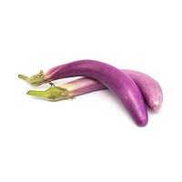 Japanese aubergine