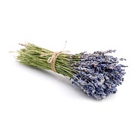 Dried lavender