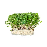 Cress mix