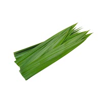 Pandan leaves