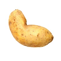 Ratte potato