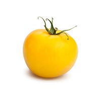 Yellow heirloom tomato