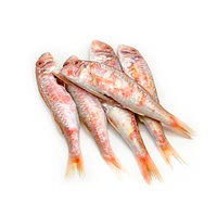 Red mullet