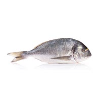 Sea bream