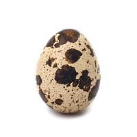 Quail egg