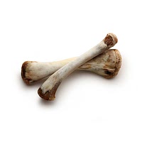 Chicken bone