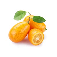 Kumquat