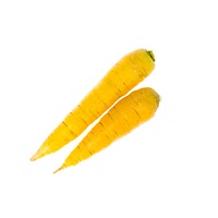 Yellow carrot