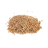 Wheat berries