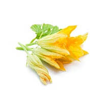 Squash blossoms