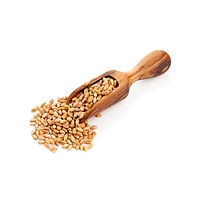 Oat groats