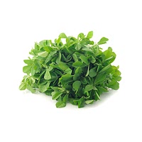 Fenugreek leaves