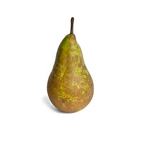 Conference pear