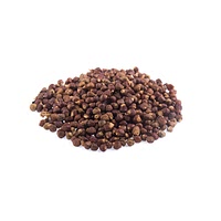 Guinea peppercorn