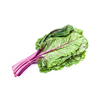 Beet greens