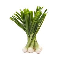 Spring onion