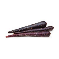 Purple carrot