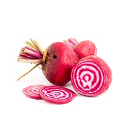 Chioggia beet