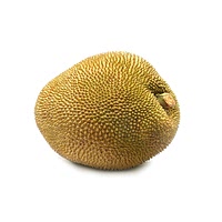 Jackfruit