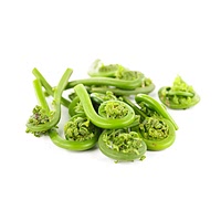 Fiddlehead ferns