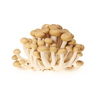 Shimenji mushrooms