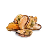 Mussel meat