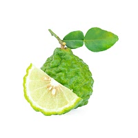 Kaffir lime