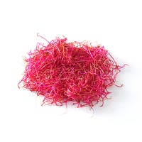 Beet root sprout