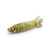 Wasabi root