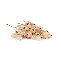 White currant