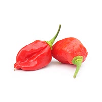 Scorpion pepper